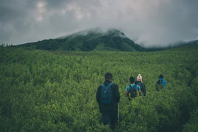 Wirestock Creators/Shutterstock : A group of people hiking in Dzukou Valley