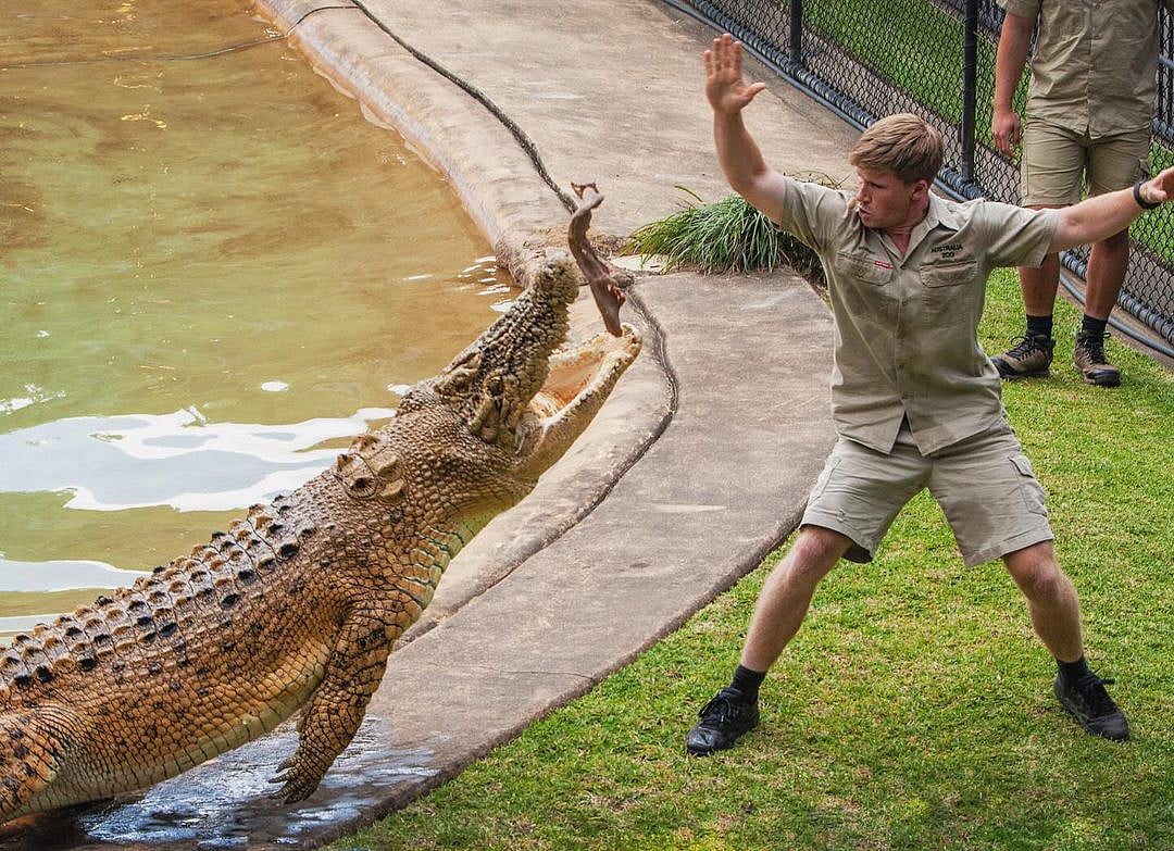Instagram/robertirwinphotography : Robert Irwin at the Australia Zoo