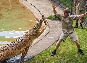 Instagram/robertirwinphotography : Robert Irwin at the Australia Zoo