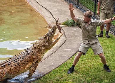 Instagram/robertirwinphotography : Robert Irwin at the Australia Zoo