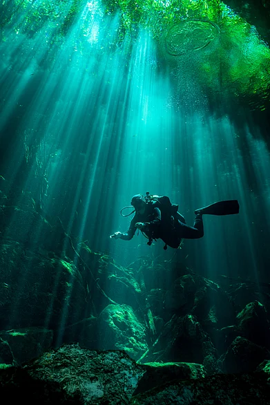 Shutterstock : A scuba diver in action