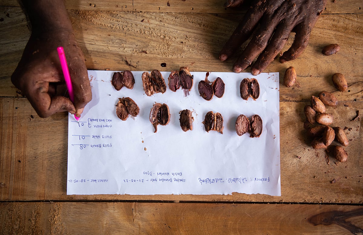 Every box is tested for acidity, texture, flavours with scientific data inputs to Distinct Origins Farmer App