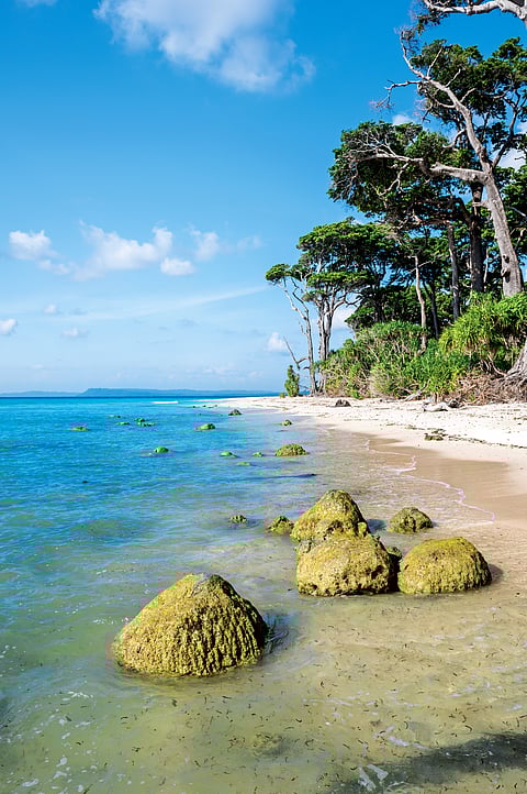 A view of the Neil Island