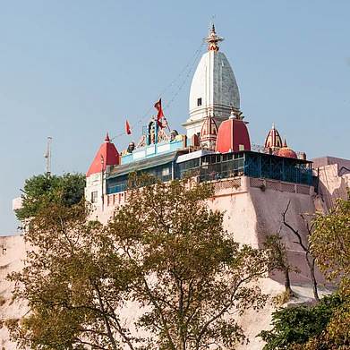 Shutterstock : A shot of the Mansa Devi Temple