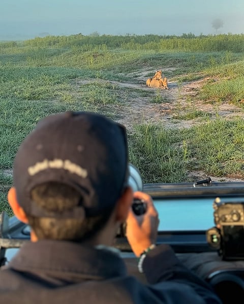 A glimpse of one of the safari rides