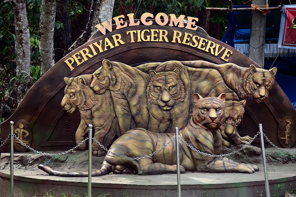 Keralas efforts in promoting responsible wildlife tourism have made it a standout destination for eco-conscious travellers