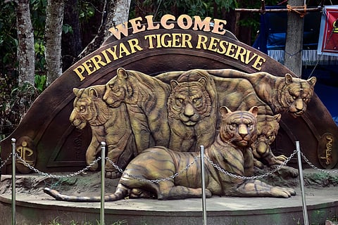 Kerala's efforts in promoting responsible wildlife tourism have made it a standout destination for eco-conscious travellers