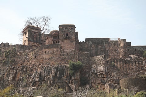 A view of the Ranthambore Fort