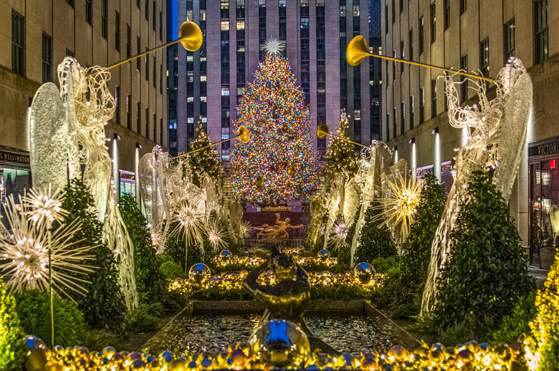 The tree gets lit up every day starting from Thanksgiving