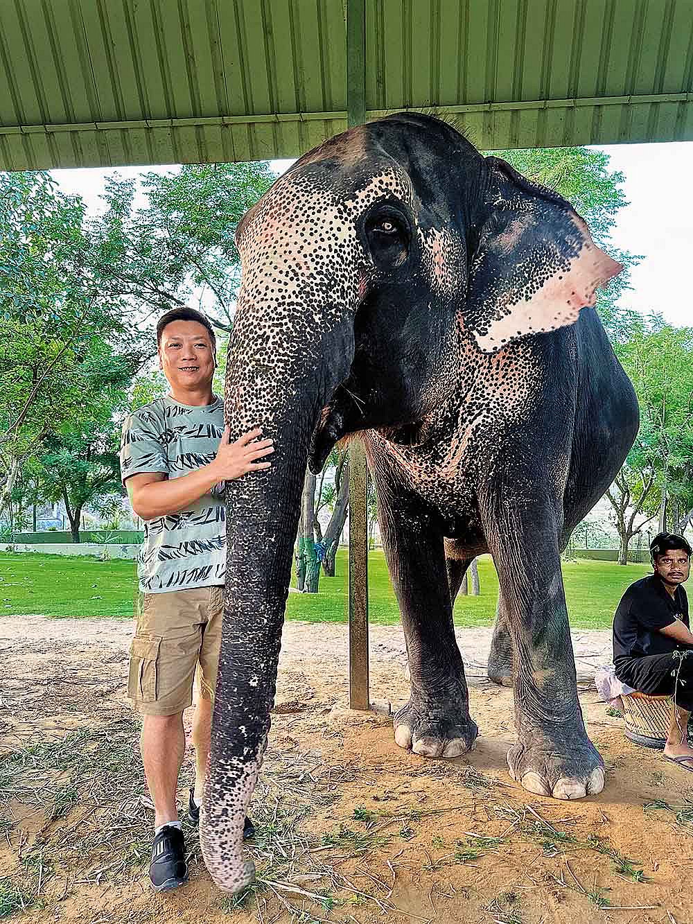 Wong at an elephant sanctuary in Kukas, Rajasthan