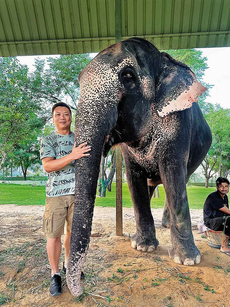 Wong at an elephant sanctuary in Kukas, Rajasthan