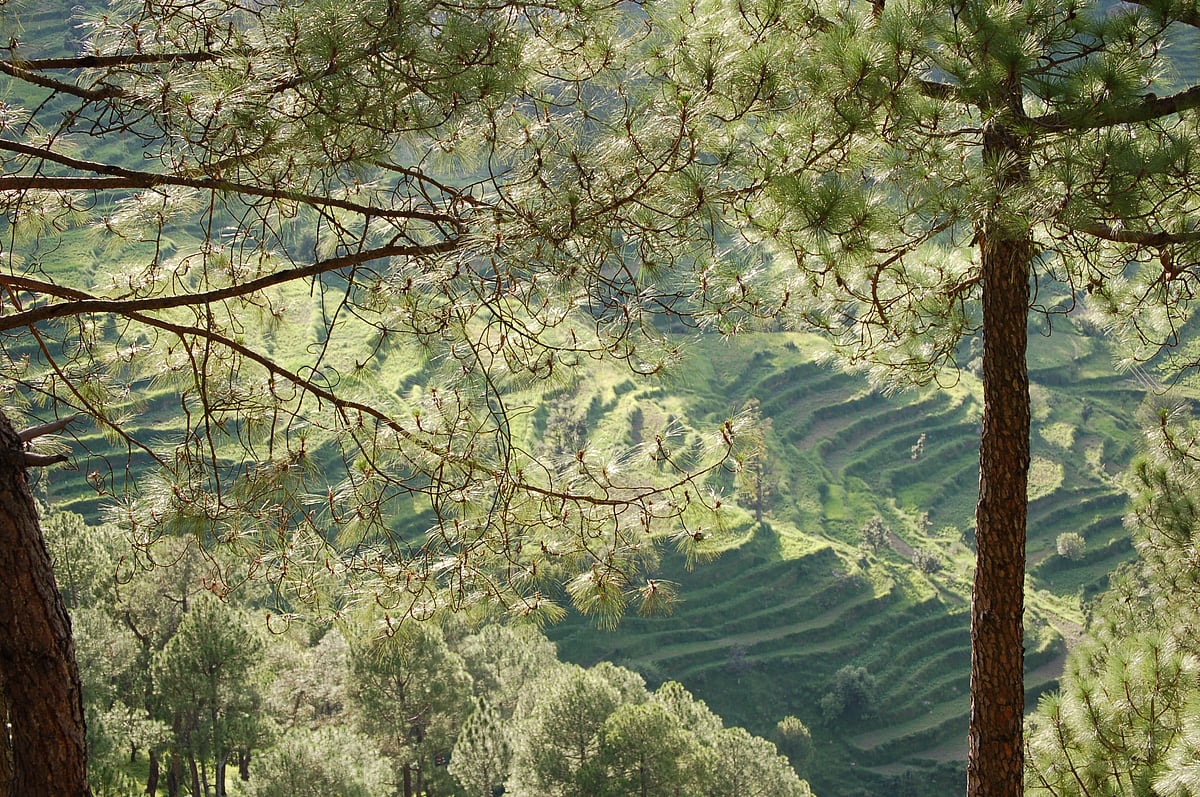 Peora is replete with scenic views such as the one in this photo