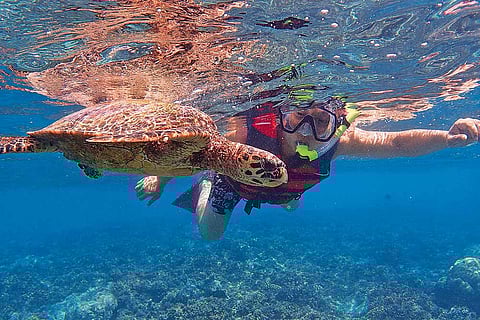 Wong holidaying in Baros, Maldives