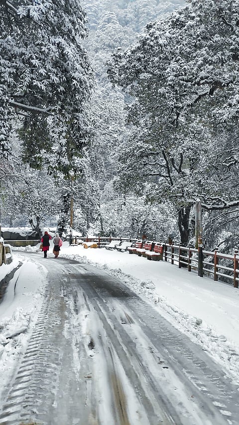 Kufri 