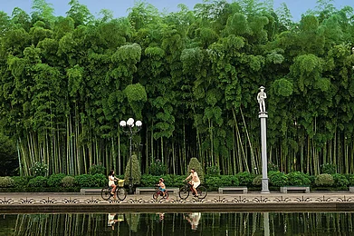 Courtesy: Department of Tourism and Resorts of Ajara Autonomous Republic : Batumi Boulevard is home to many cafés, restaurants and green spaces