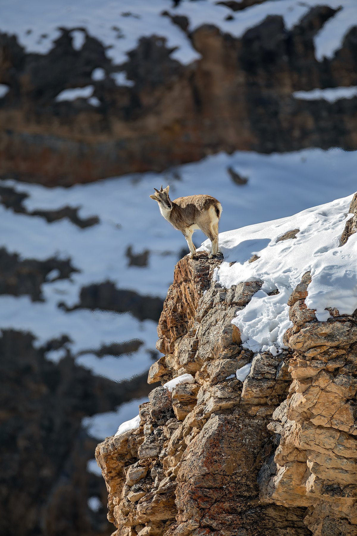 Spiti Valley