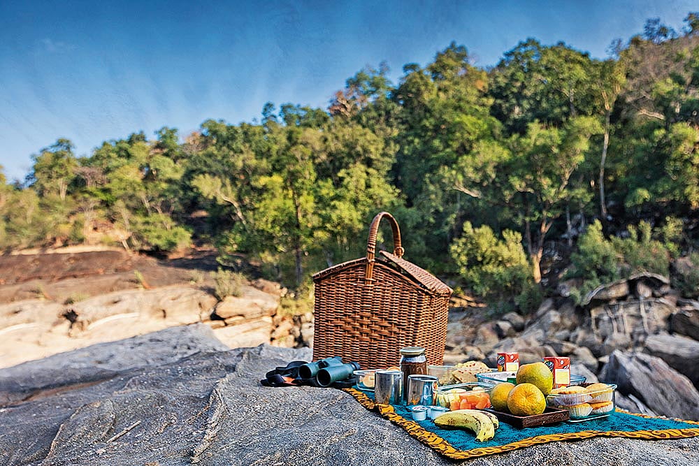 Breakfast in the wild