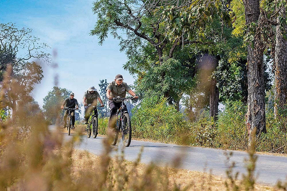 Cycle tours in Bori Safari Lodge