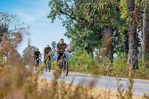 Cycle tours in Bori Safari Lodge