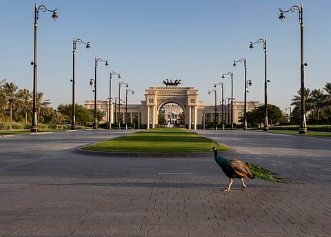 A view of Sheikh Mohammed bin Rashid Al Maktoum’s Zabeel Palace