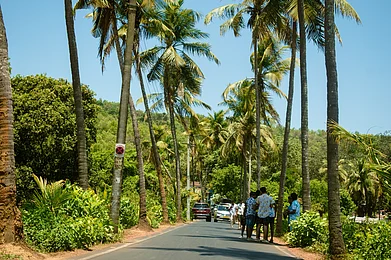 DiversePixels/Shutterstock : A scenic and charming stretch that winds through the picturesque village of Parra in Goa