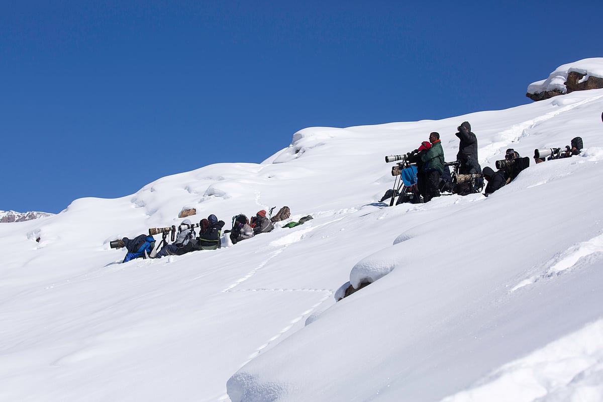 A group of photographers in Kibber wait to capture a glimpse of the snow leopard
