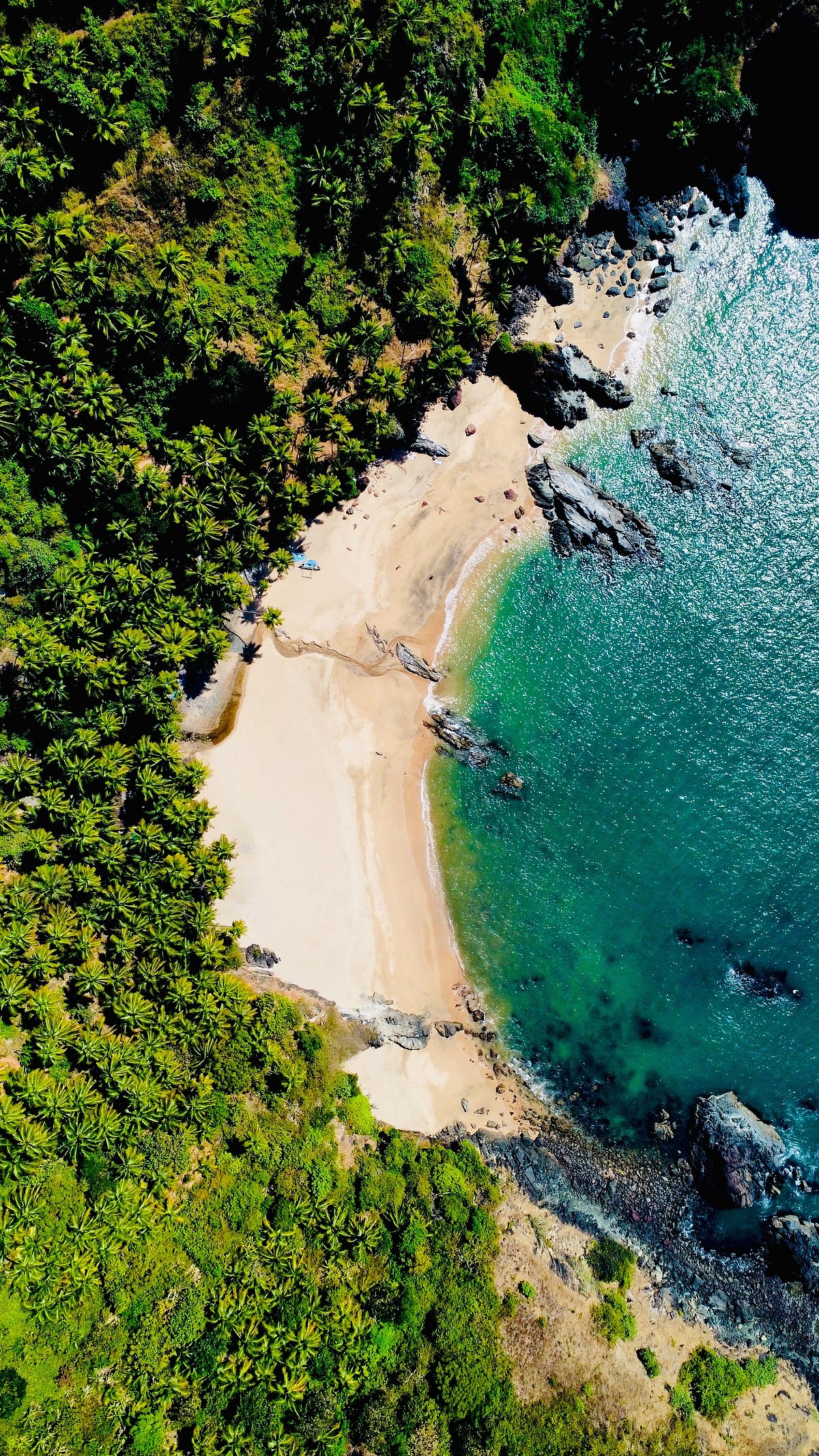 Shutterstock : A secluded beach in South Goa
