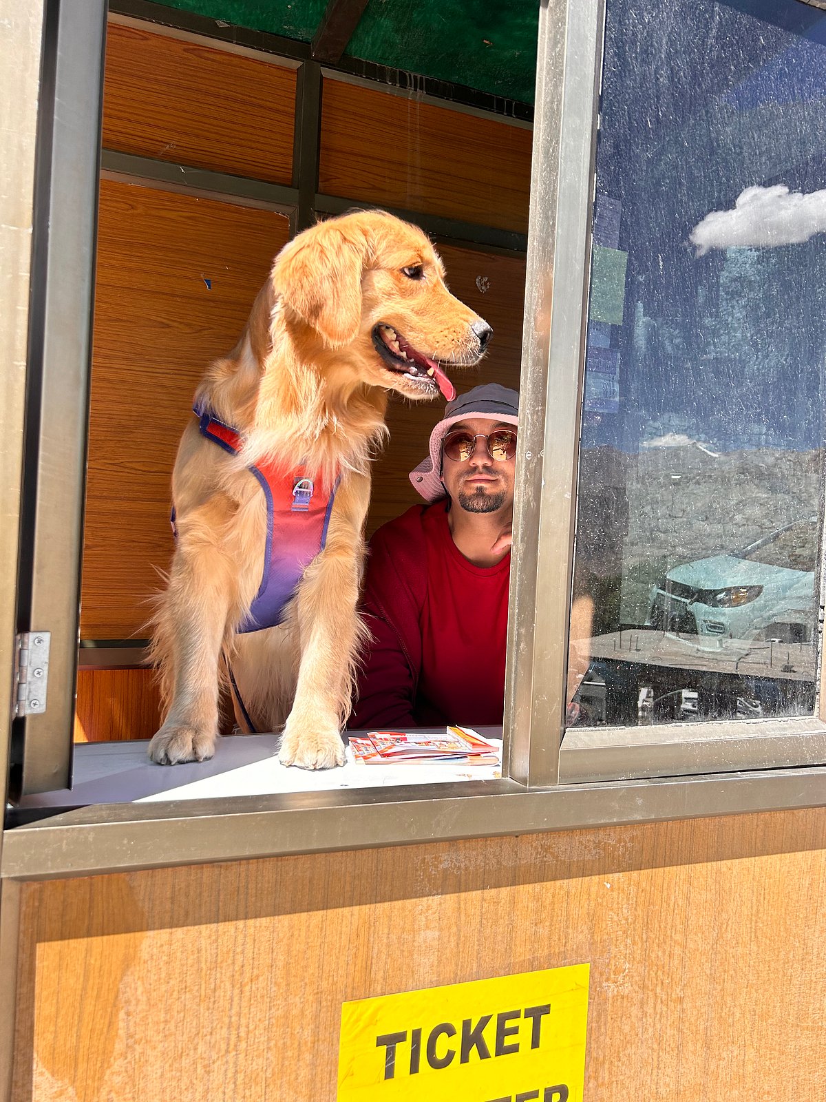 The monk at the ticket counter watches over Theia 