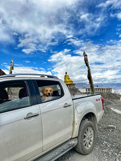 Theia at Stok Gompa