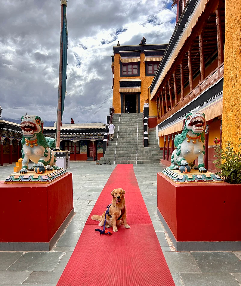 At Thiksey gompa