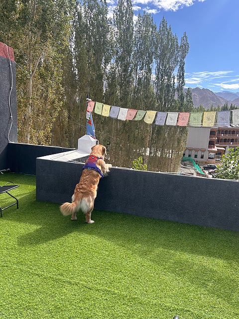 The Kaal became our home for the next 12 days, and we came to know the staff by their first names