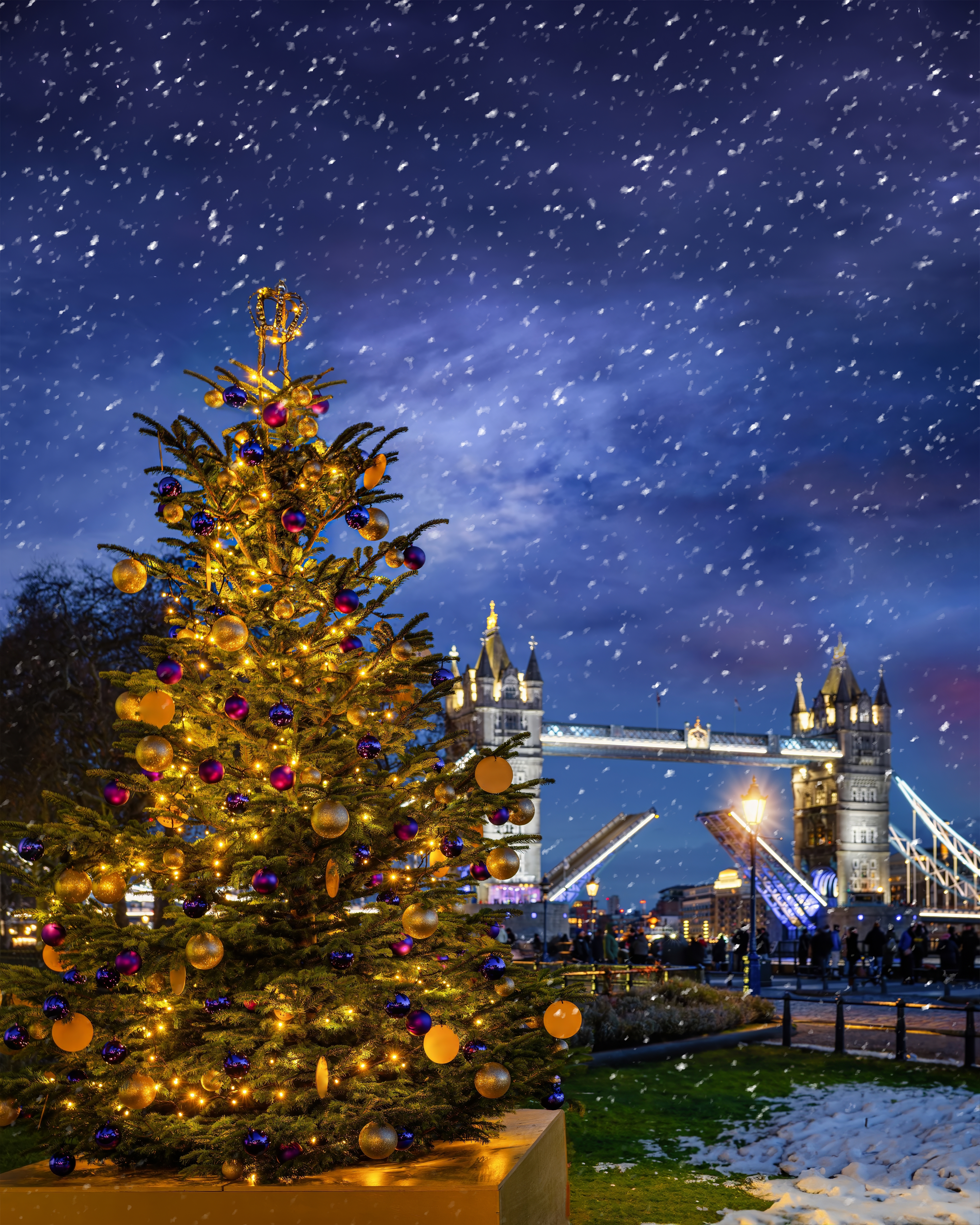 A illuminated Christmas Tree in front of the famous Tower Bridge of London