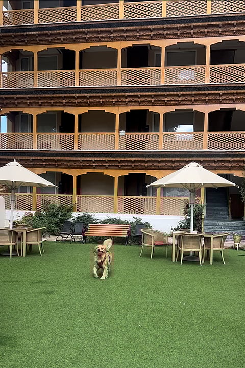 Theia playing at The Kaal