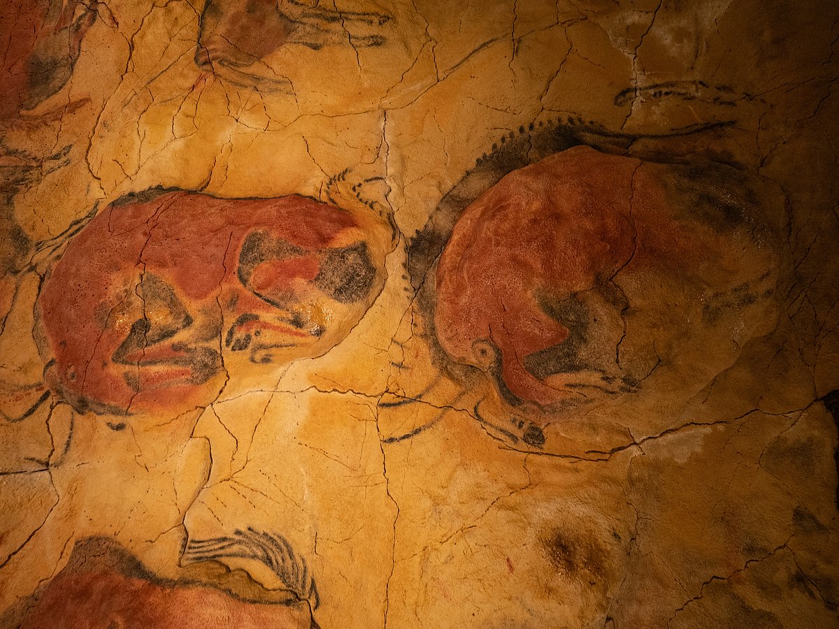 The images inside the Altamira Caves