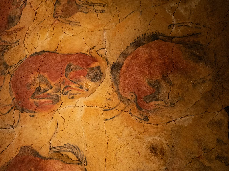 The images inside the Altamira Caves