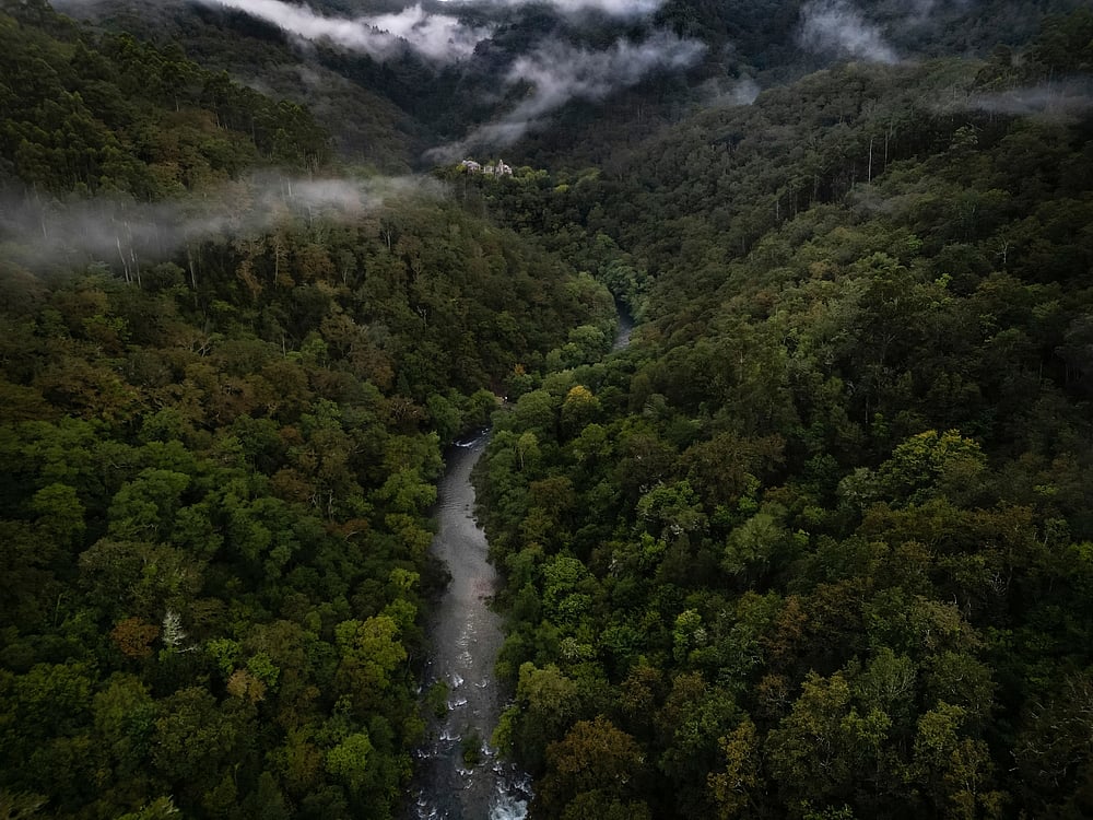 The forests and rivers of Fragas do Eume Natural Park in Galicia
