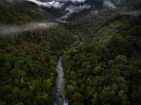 The forests and rivers of Fragas do Eume Natural Park in Galicia