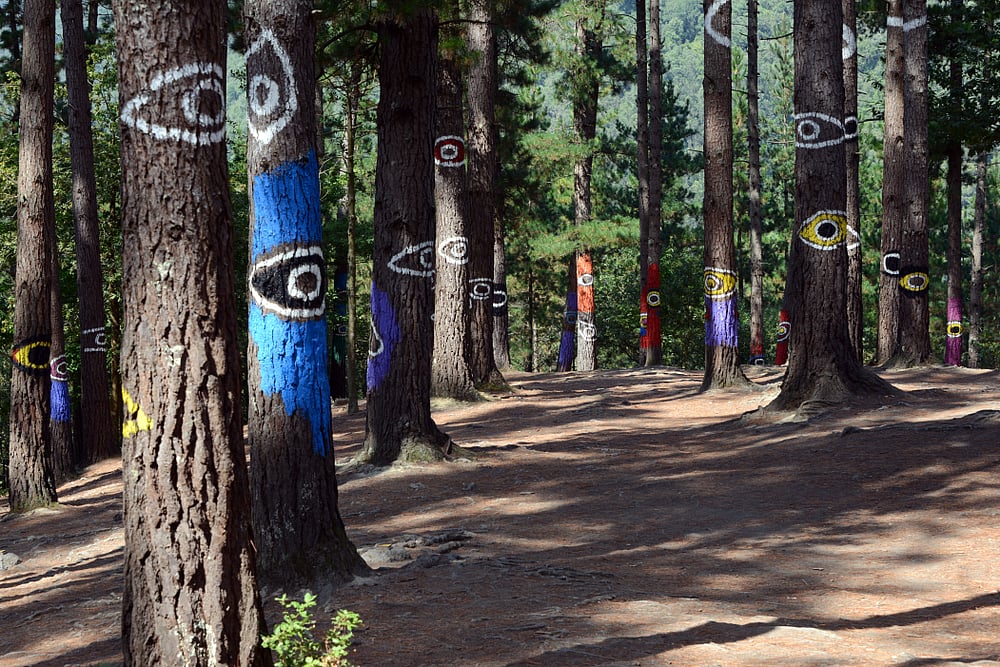 Bosque de Omas, the painted forest, is a land art project created by
artist Agustin Ibarrola