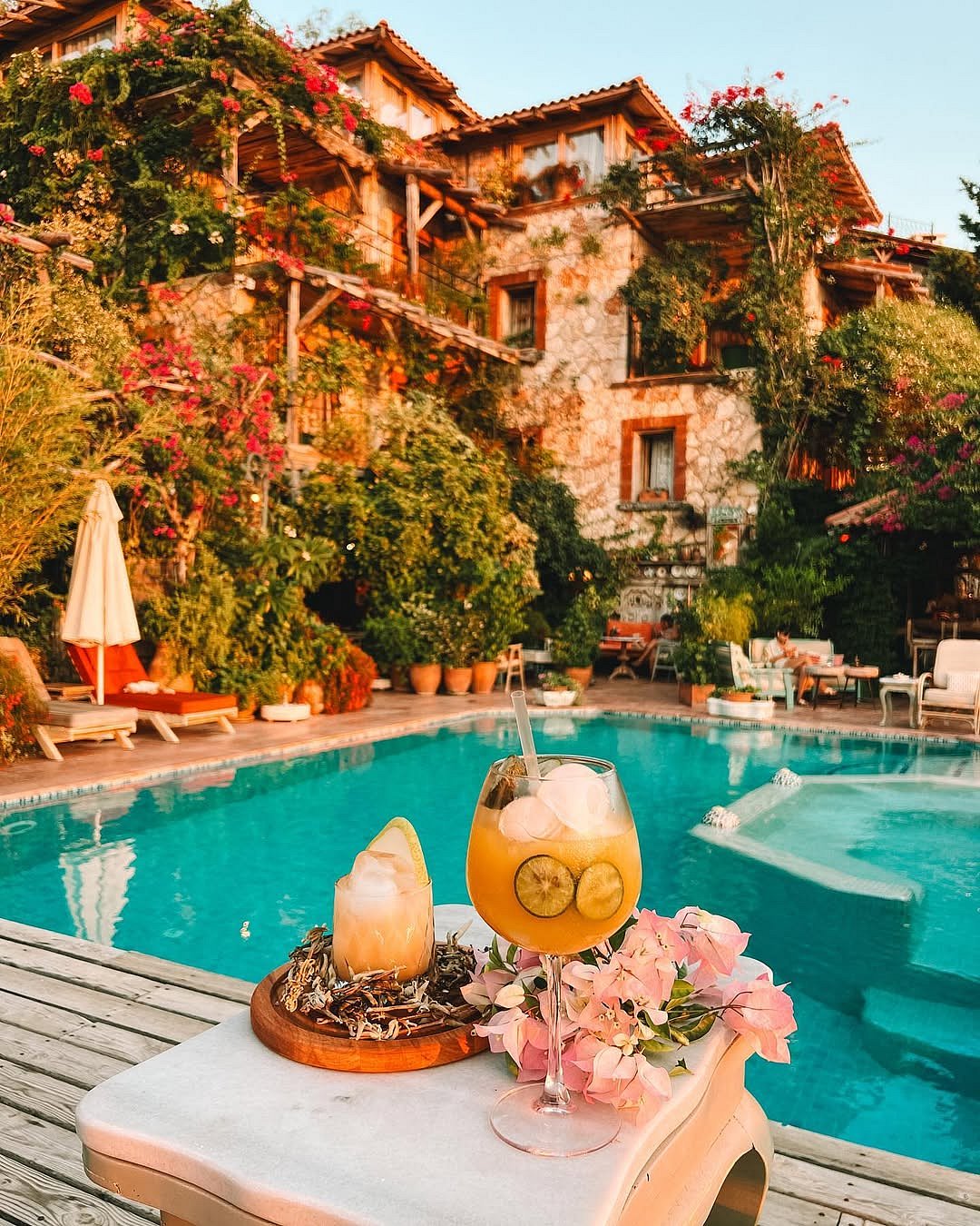 Fidanka overlooks a vibrant garden courtyard filled with lush greenery and flowering shrubs