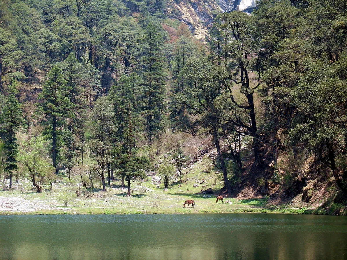 Puneet Roy/Shutterstock