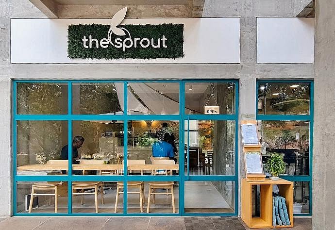 Indulge in a carefully curated vegetarian menu 