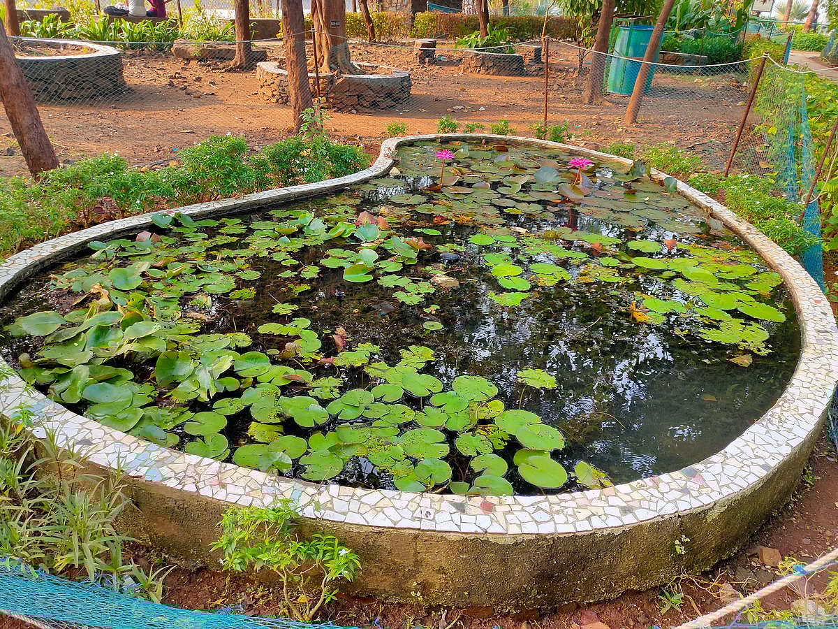 A glimpse of the Bandra Fort garden