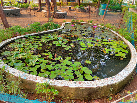 A glimpse of the Bandra Fort garden