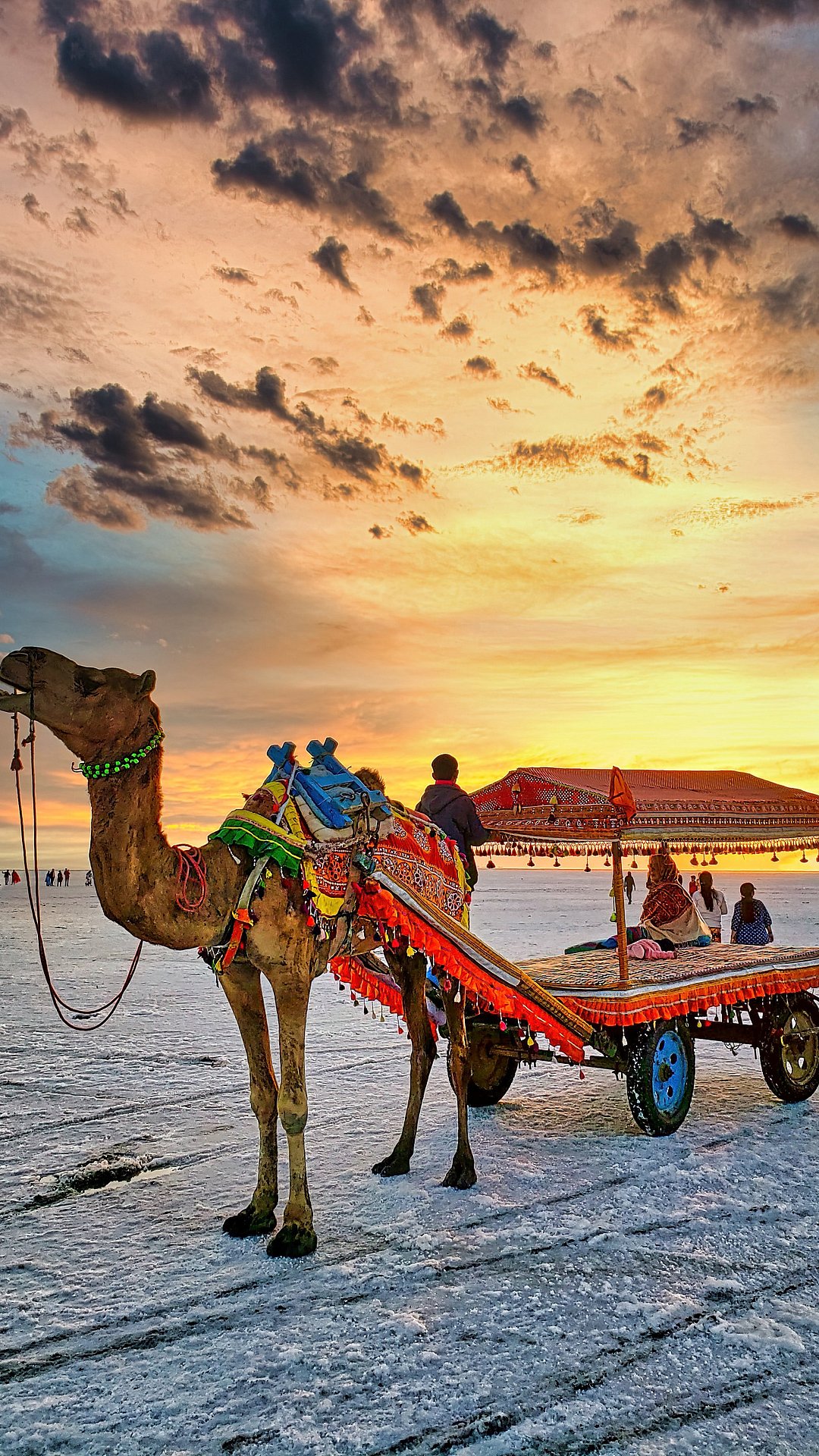 Dhordo is famous for hosting the annual Rann Utsav