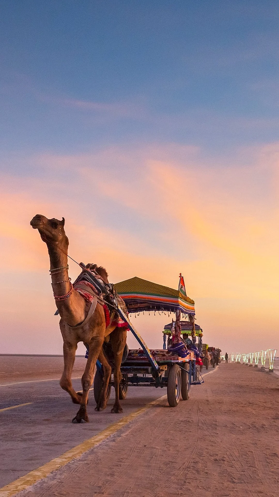 Camel cart