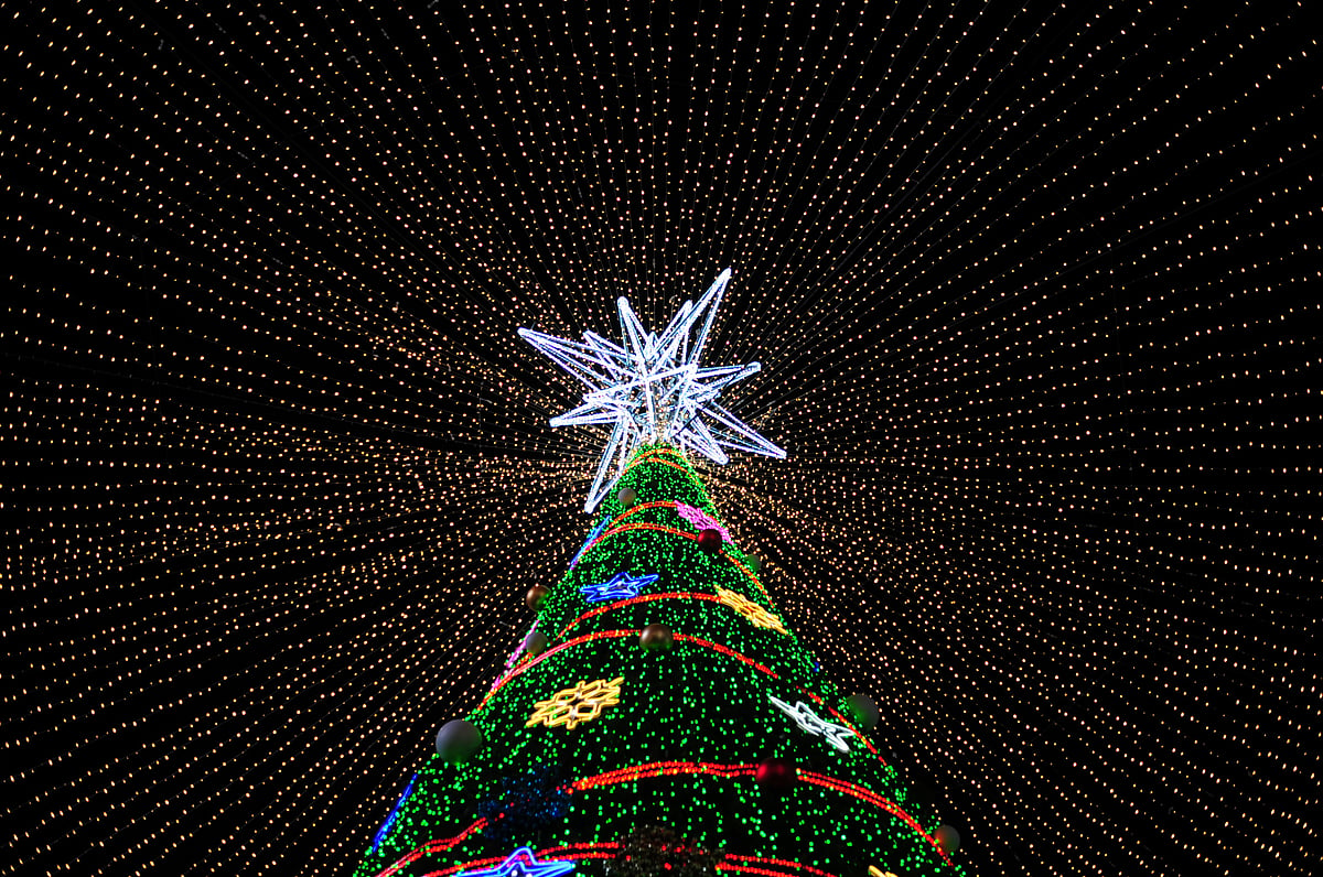 An illuminated Christmas tree in Busan