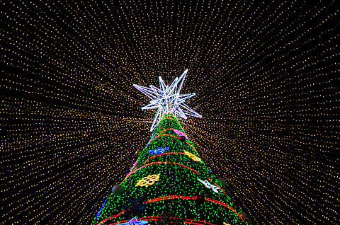 An illuminated Christmas tree in Busan