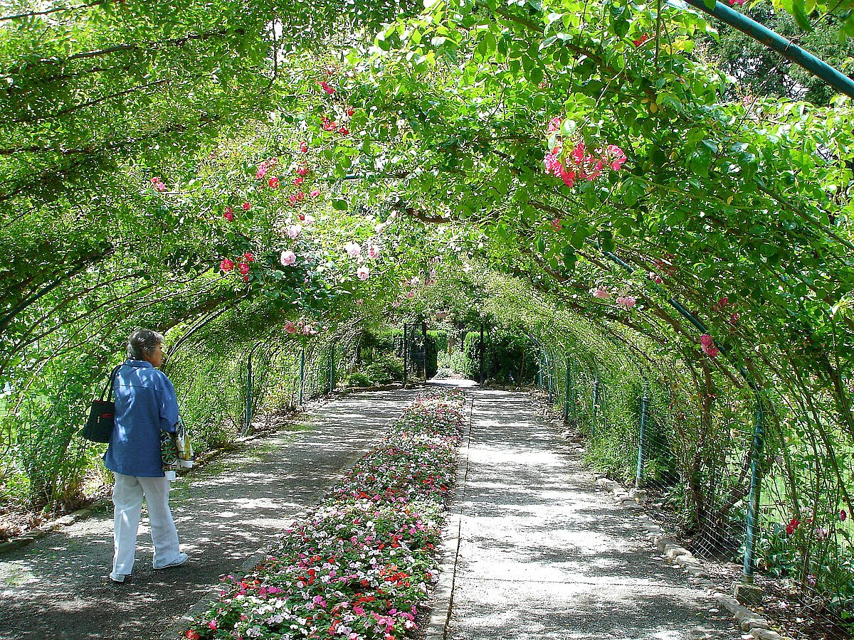 Numerous trails are available for hiking or biking, making it perfect for nature walks