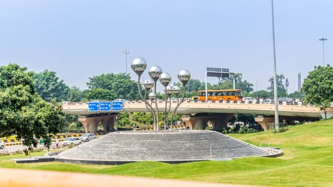 "Sprouts" by Vibhor Sogani at the AIIMS flyover, New Delhi