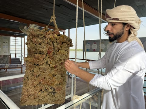 Obaid explaining the process